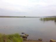 Шостакове з panoramio.com