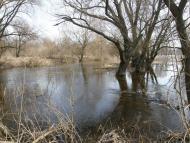 Заріг з panoramio.com