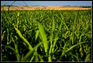 Бармаки з panoramio.com