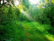 Рудня-Городище з panoramio.com