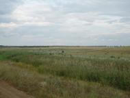 Шевченкове з panoramio.com