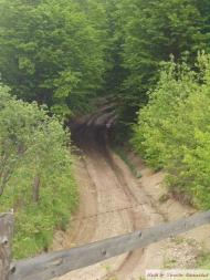 Річка з panoramio.com