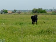 Строїтель з panoramio.com