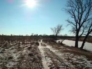 Миколаївка Друга - Останні фото