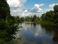 Гуща з panoramio.com