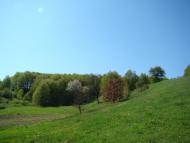 Улашівка з panoramio.com