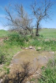 Василівка з panoramio.com