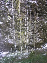 Подимка з panoramio.com