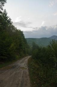 Чорноголова з panoramio.com