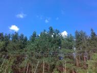 Сидоровичі з panoramio.com