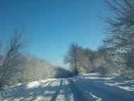 Квіткове з panoramio.com