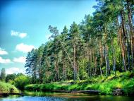 Сущани з panoramio.com