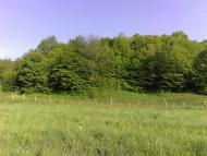 Майдан з panoramio.com