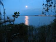 Старі Терни з panoramio.com