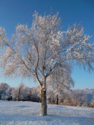 Захарівка з panoramio.com