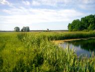 Донецьке з panoramio.com