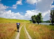 Сорокодуби з panoramio.com