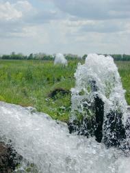 Лози - Останні фото