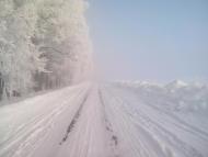 Камінь з panoramio.com