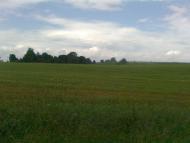 Підвисоке з panoramio.com