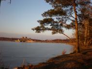 Нова Борова з panoramio.com