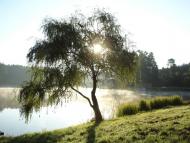 Віжомля з panoramio.com