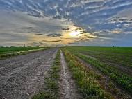 Рожеве з panoramio.com