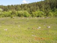 Паївка з panoramio.com