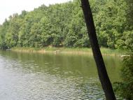 Ступаківка з panoramio.com