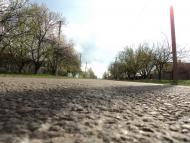 Веселянка - Останні фото