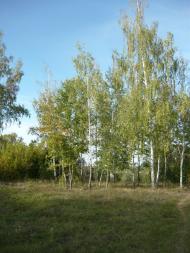 Білопілля з panoramio.com - Белополье