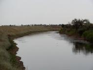 Косих з panoramio.com