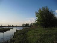 Шовкова Протока - Останні фото