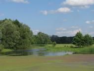 Лютенські Будища з panoramio.com