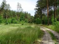 Писарева Воля - Останні фото