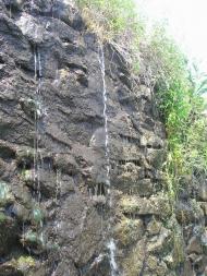 Подимка з panoramio.com