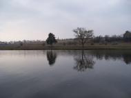 Сорокодуби з panoramio.com