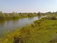 Митківці з panoramio.com