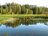 Льгів з panoramio.com