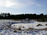 Ліски з panoramio.com