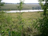 Мартинівка з panoramio.com