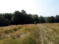 Вучкове з panoramio.com