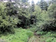 Сутоки з panoramio.com