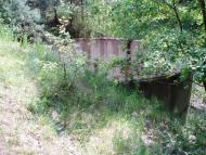 Гринів з panoramio.com