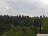 Річка з panoramio.com