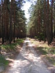 Черкаські Тишки з panoramio.com