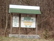 Салинці з panoramio.com