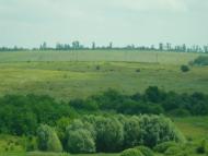 Березівка з panoramio.com