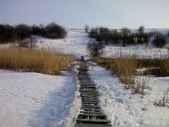 Весела Роща з panoramio.com