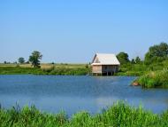 Кустин з panoramio.com